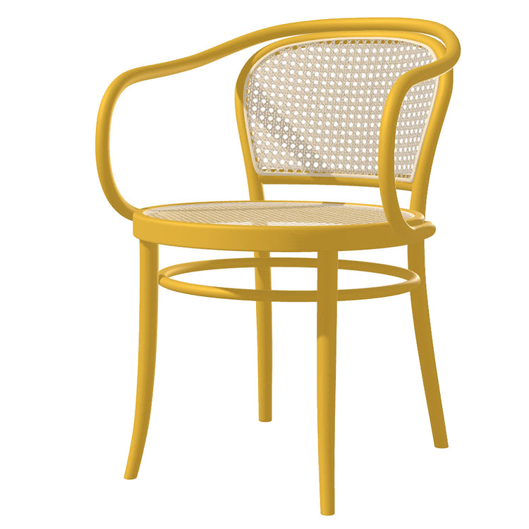 33 Arm Chair Cane - Color