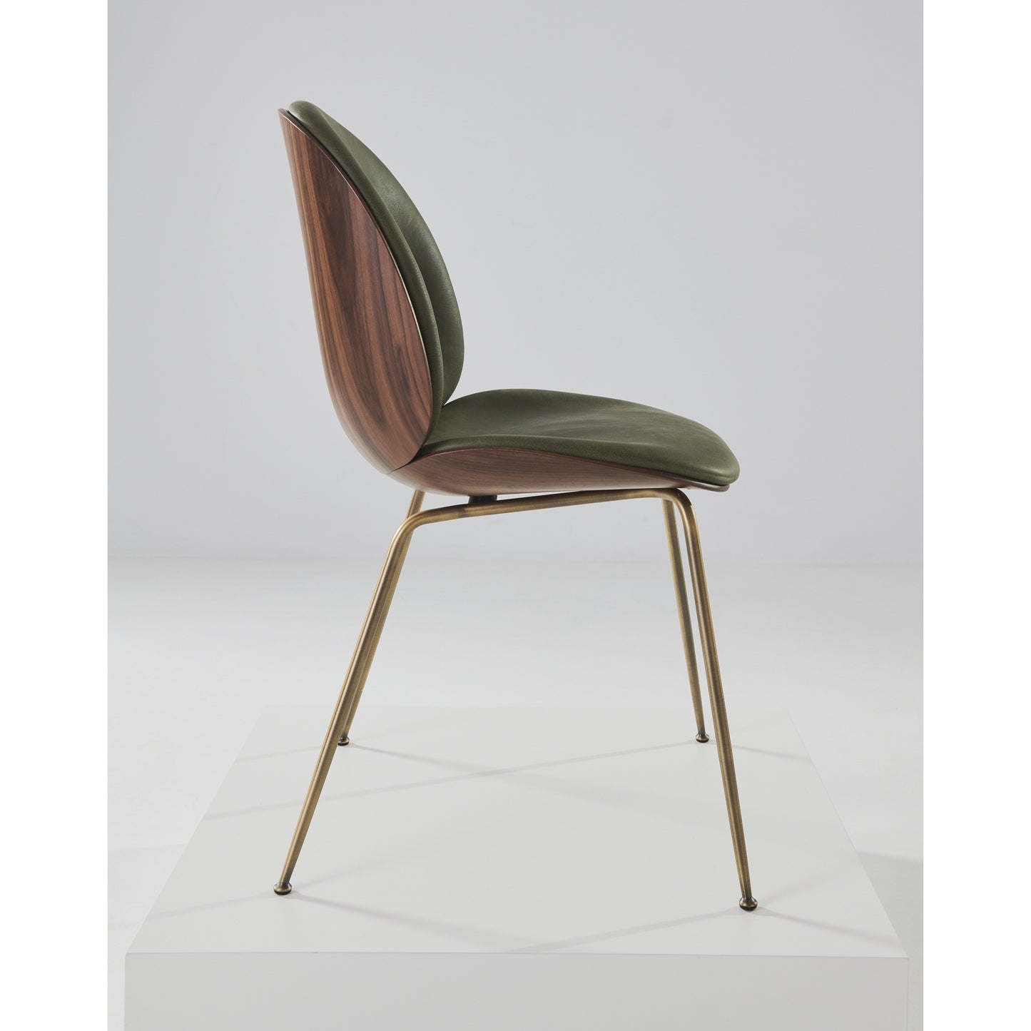 Beetle Front Upholstered Dining Chair - Veneer Shell, Conic Base