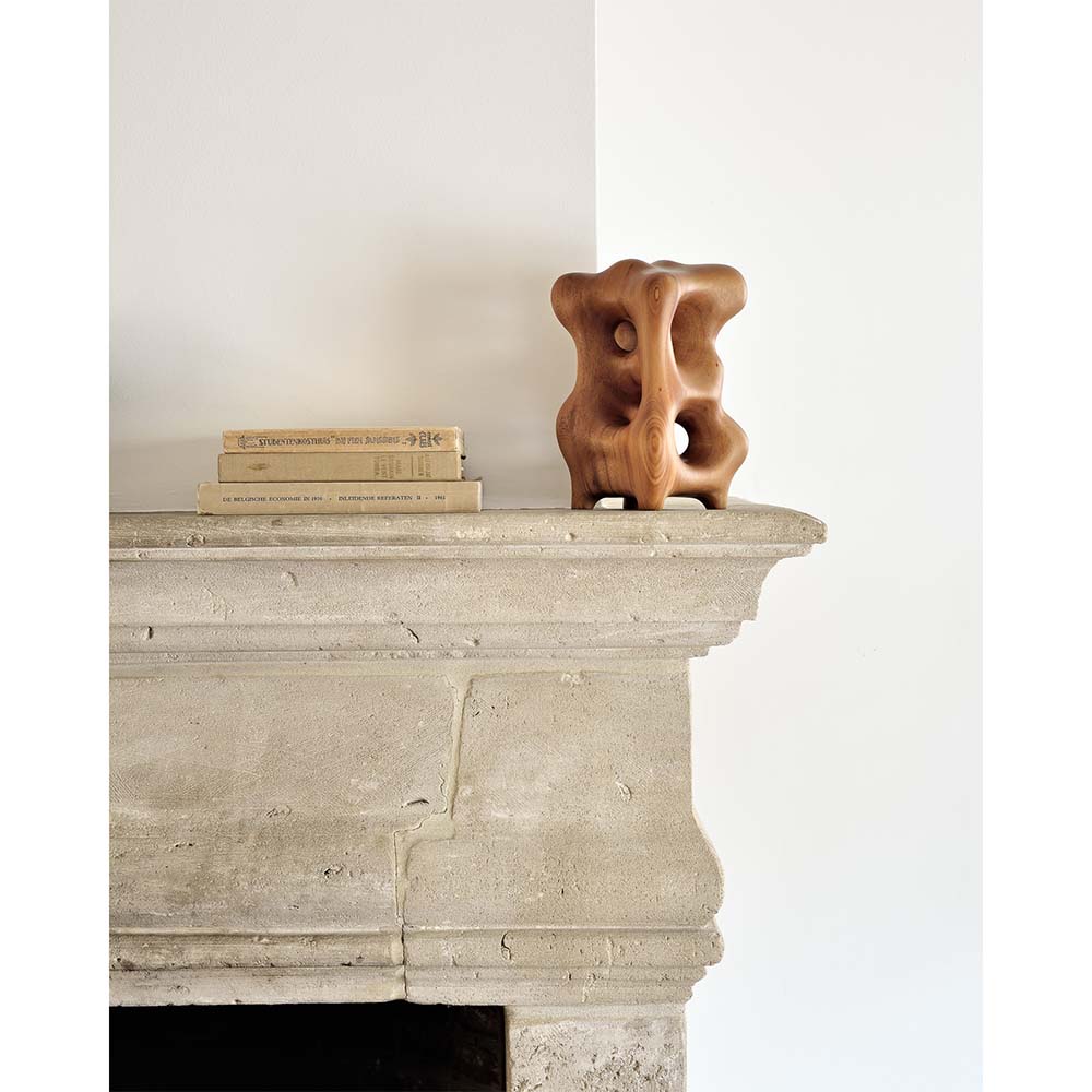 Organic Sculpture