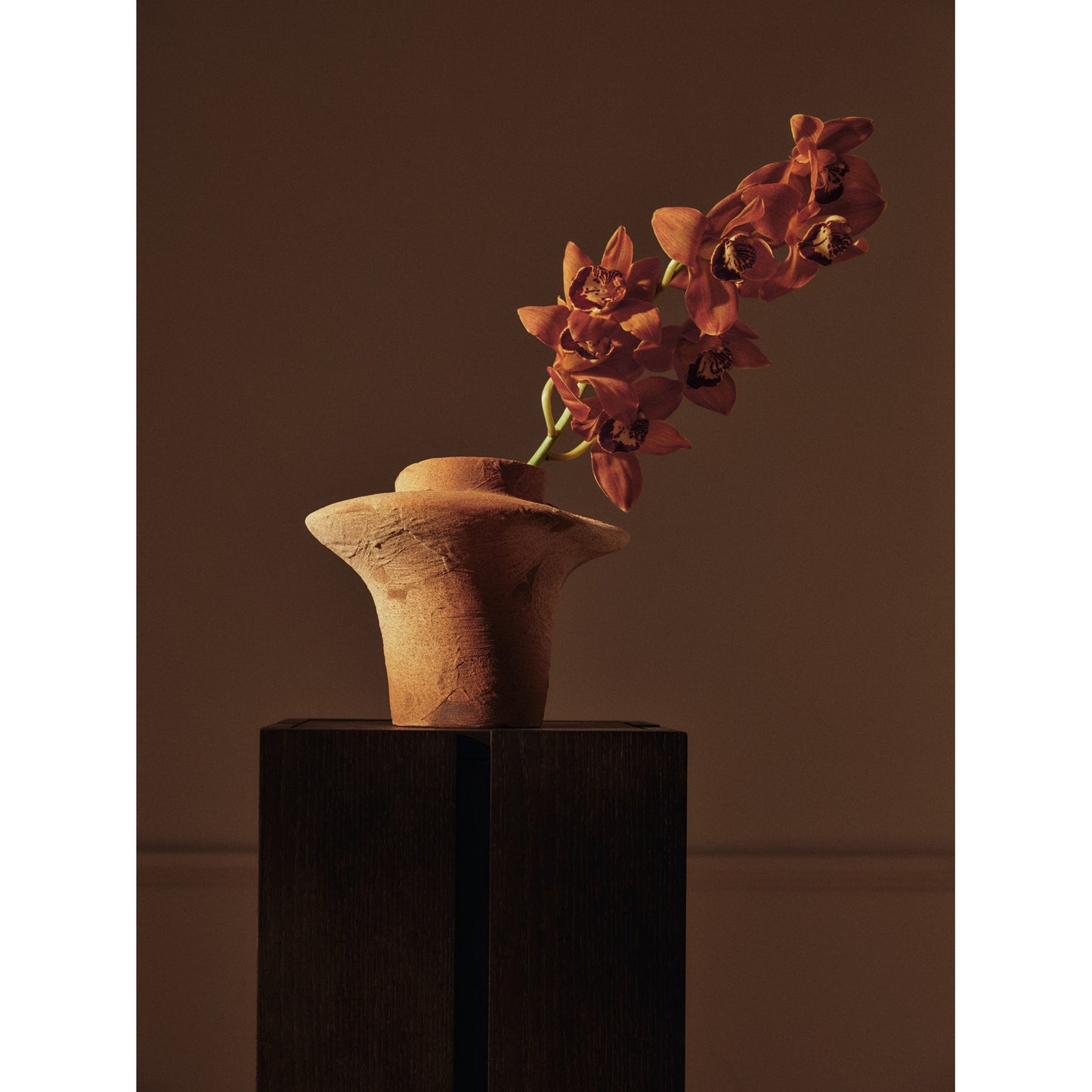 Parcel Pedestal - 23"H, Dark Stained Oak