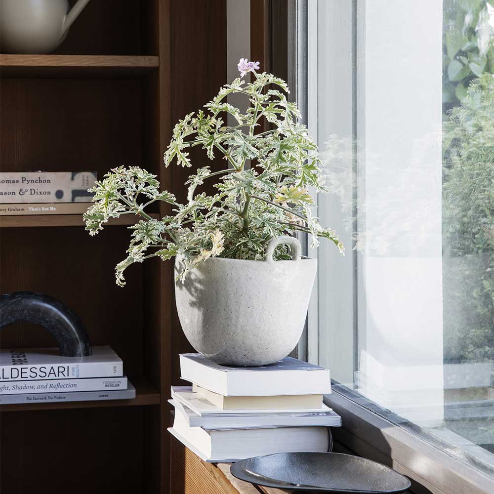 Speckle Pot - Off-White