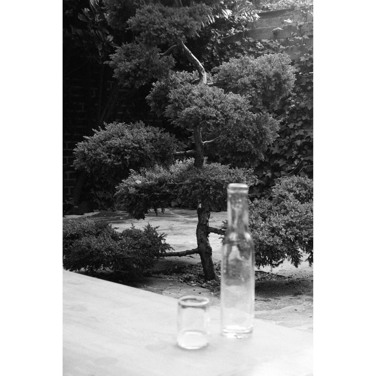 0405 Bottle - Clear, Narrow