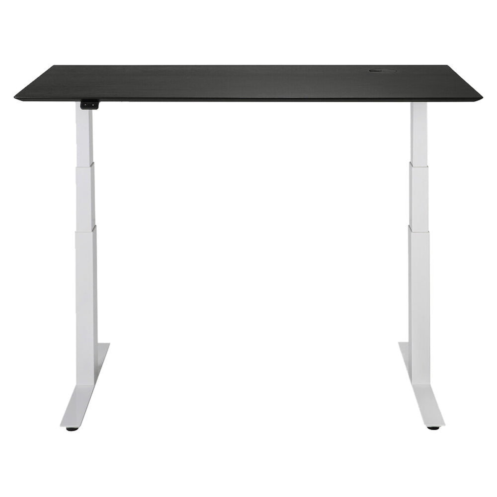 Bok Adjustable Desk - Black Oak Top, White Base, With Cable Management
