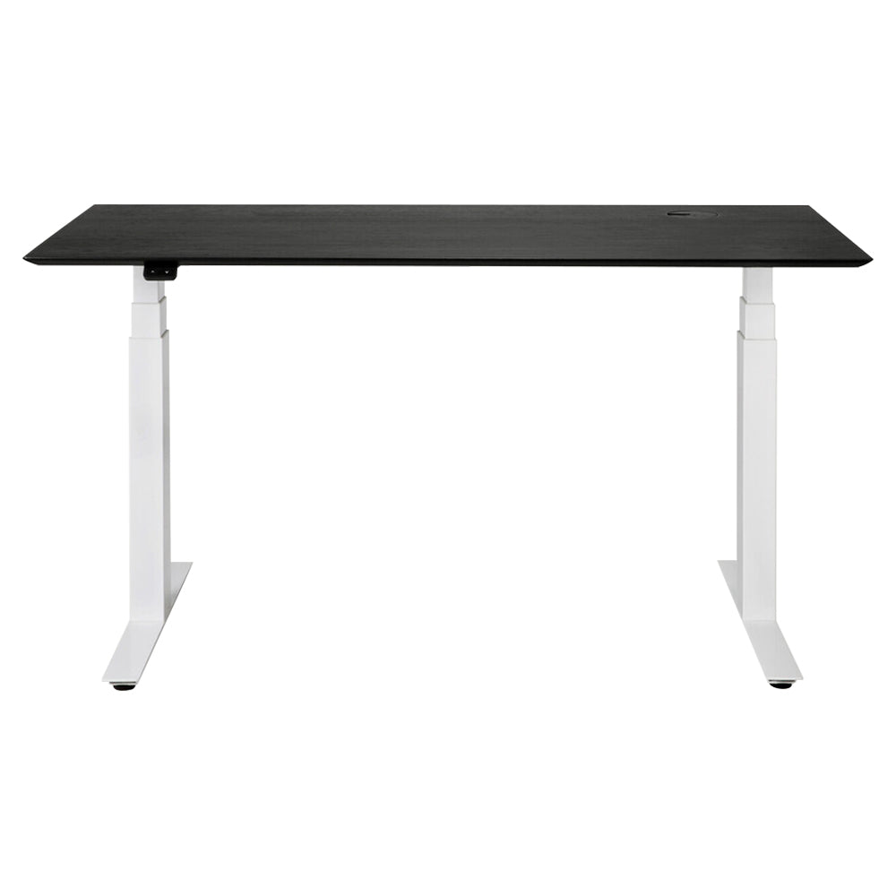 Bok Adjustable Desk