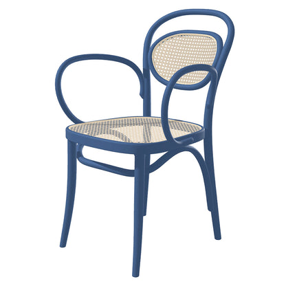 20 Arm Chair Cane - Color