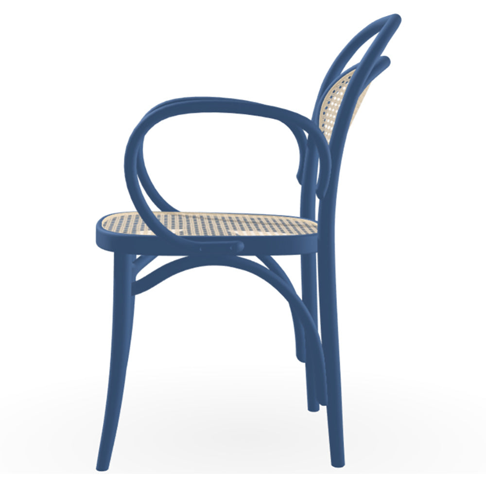 20 Arm Chair Cane - Color