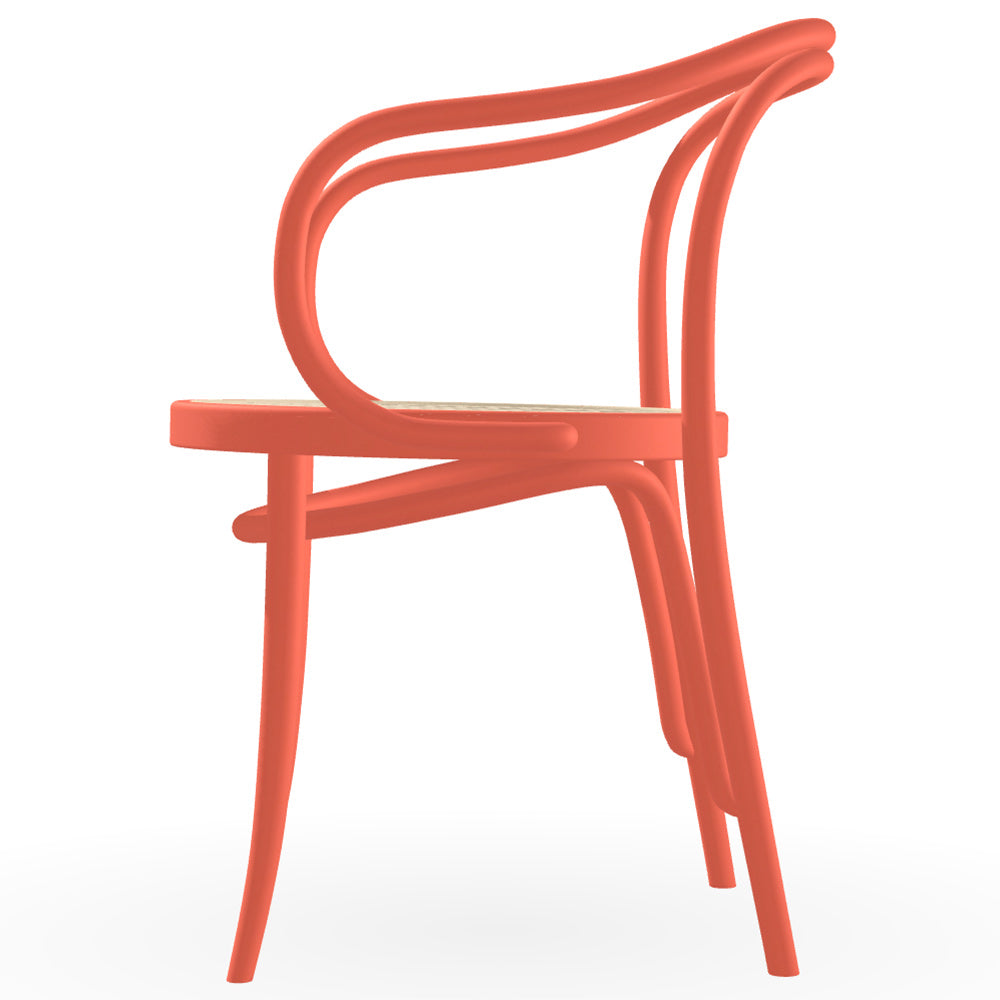 30 Arm Chair Cane - Color