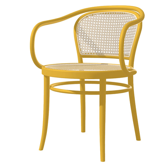 33 Arm Chair Cane - Color
