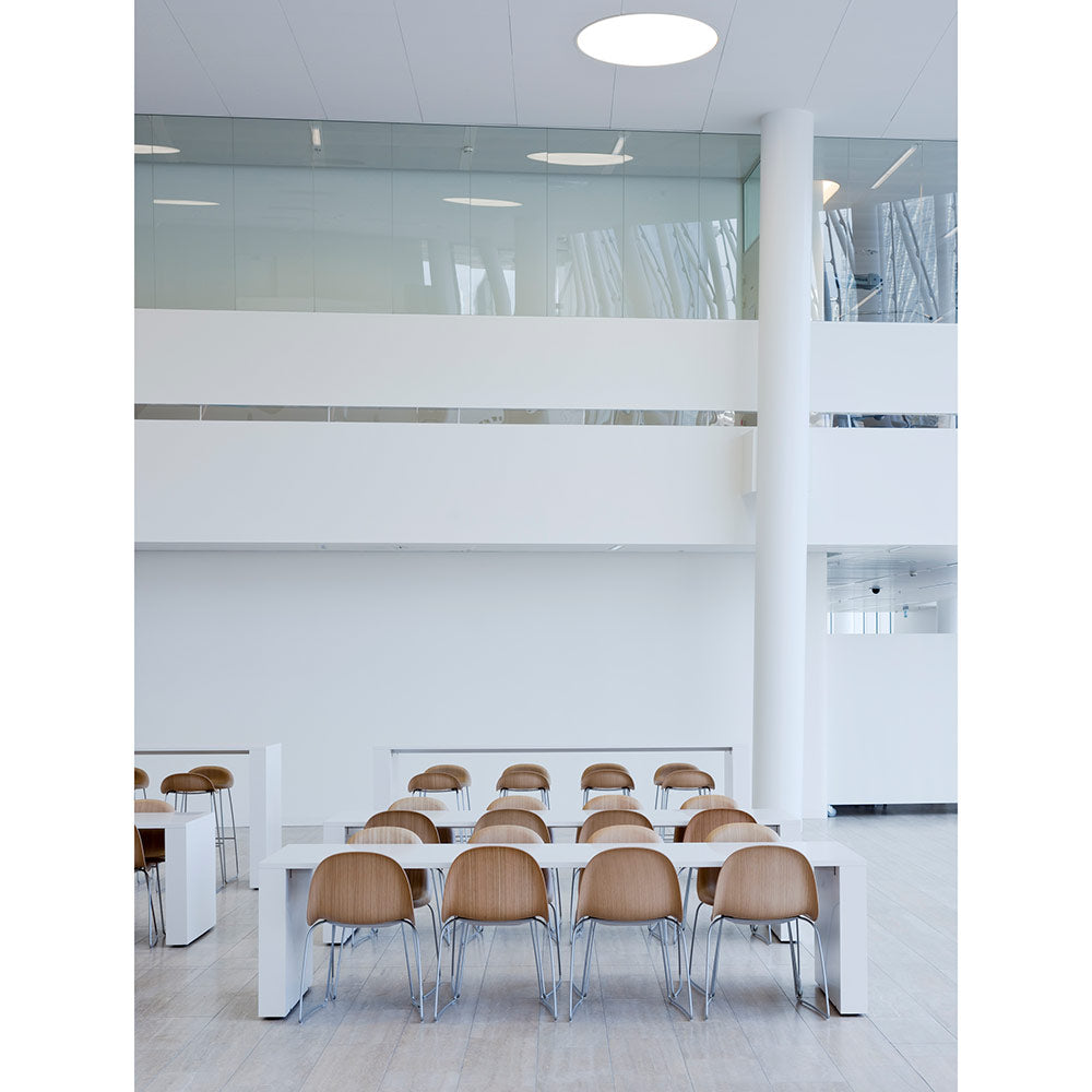 3D Unupholstered Dining Chair