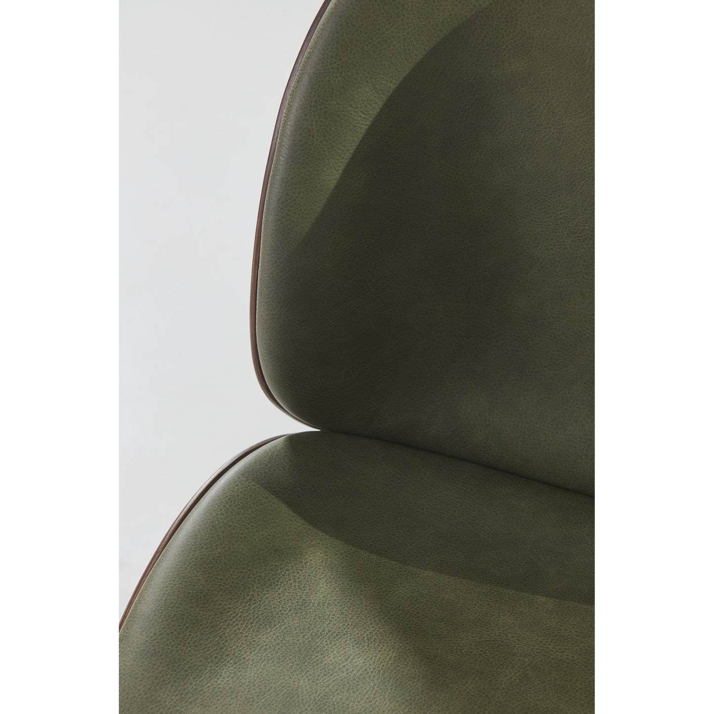 Beetle Front Upholstered Dining Chair - Veneer Shell, Conic Base