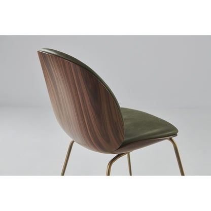 Beetle Front Upholstered Dining Chair - Veneer Shell, Conic Base