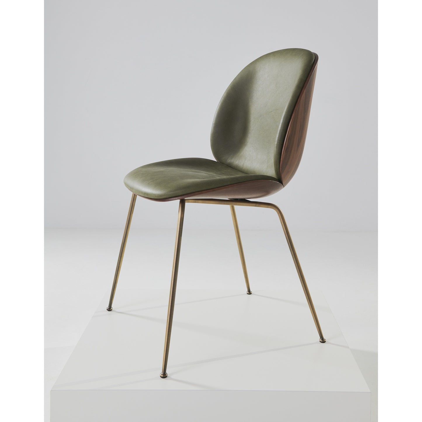 Beetle Front Upholstered Dining Chair - Veneer Shell, Conic Base