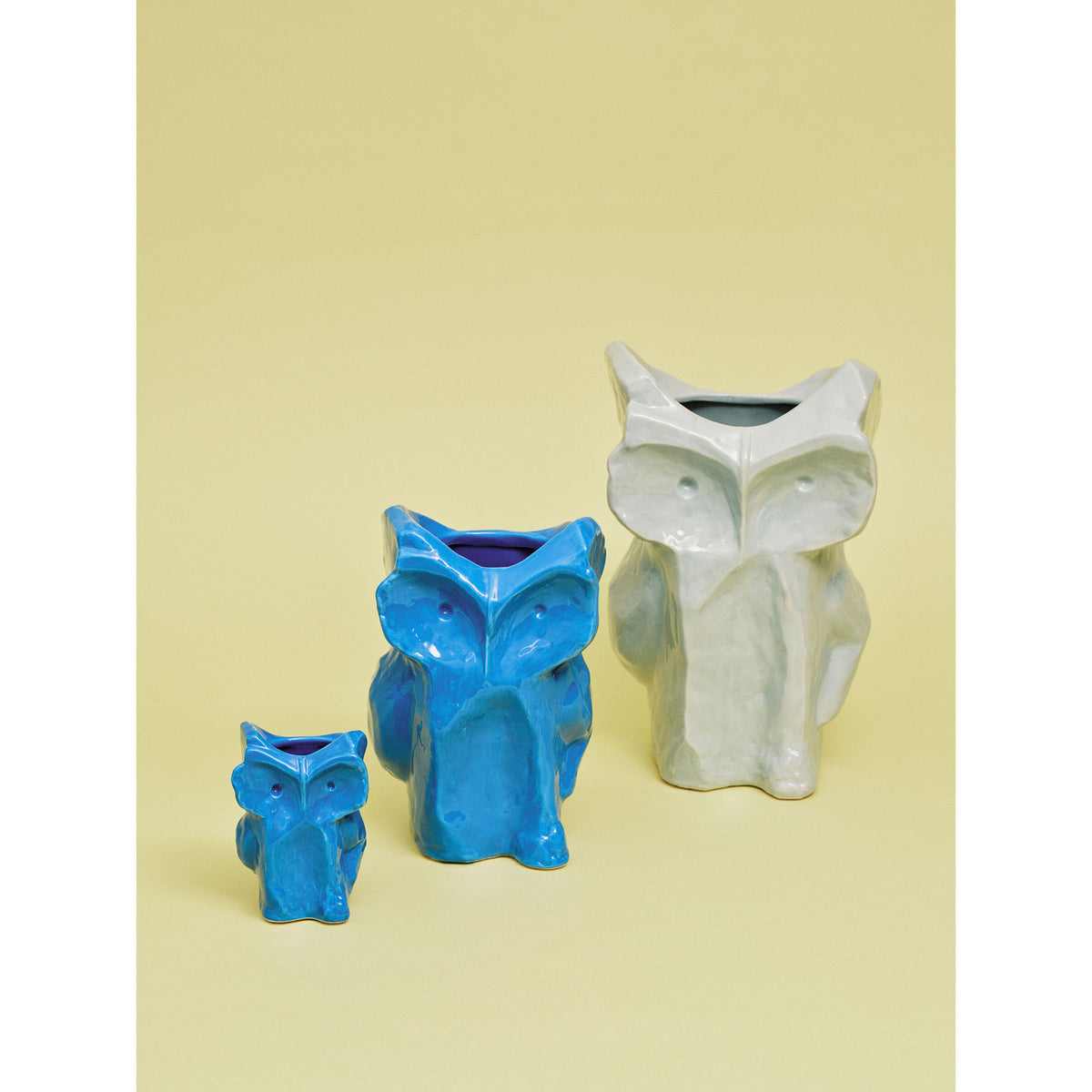 After Midnight Owl Vase - Blue