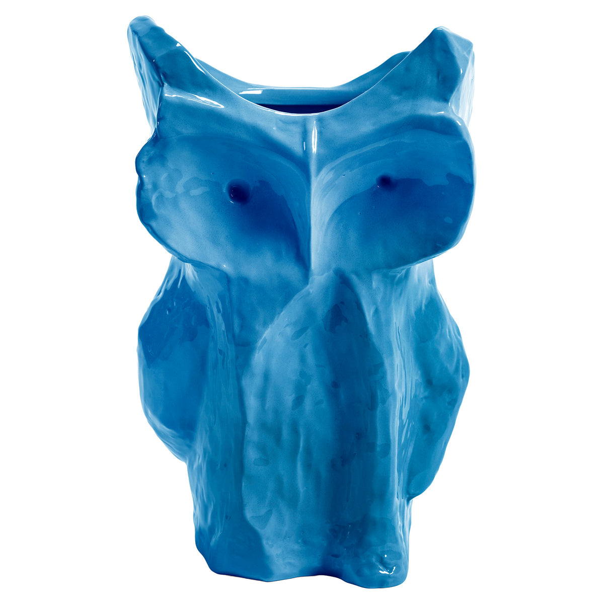 After Midnight Owl Vase - Blue