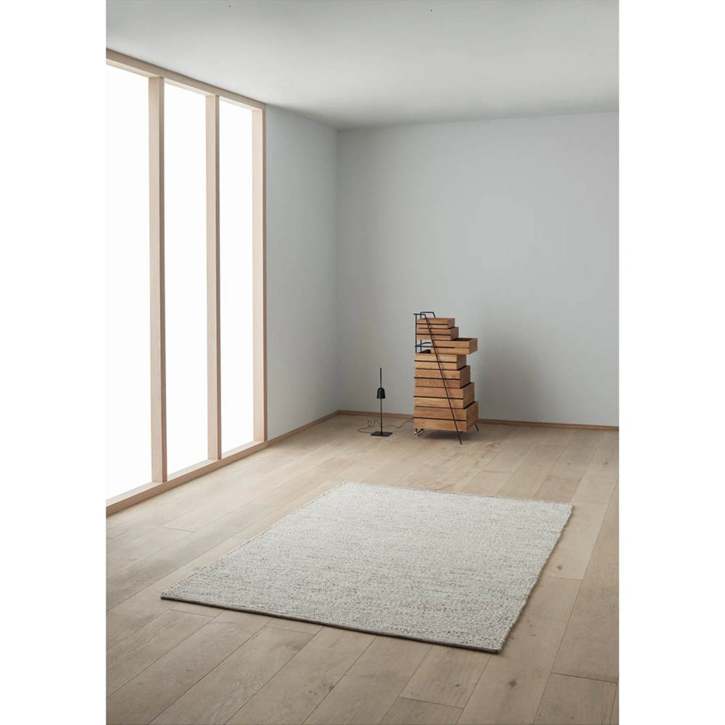 Agner Rectangular Rug - Beige