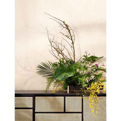 Air Low Media Cabinet - Black, Cane