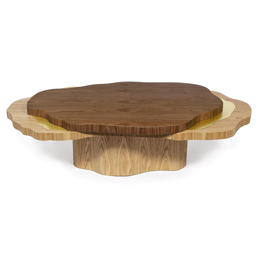 Arizona Coffee Table