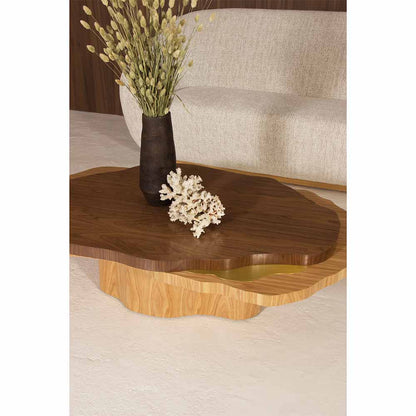 Arizona Coffee Table