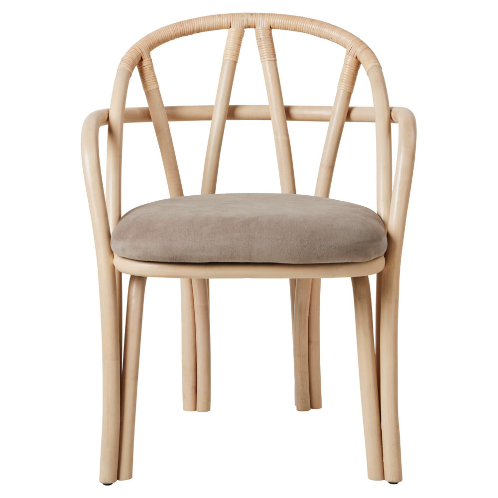 Bistra Dining Armchair - Natural Lacquered Rattan