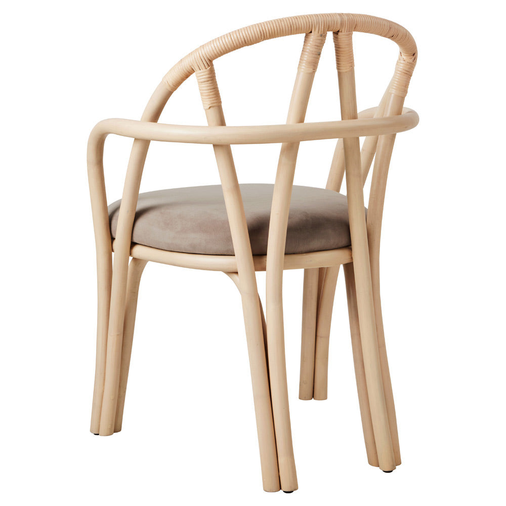 Bistra Dining Armchair - Natural Lacquered Rattan