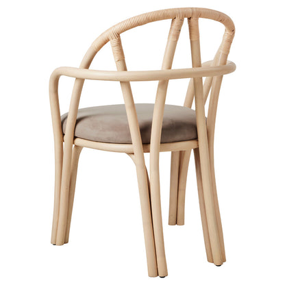 Bistra Dining Armchair - Natural Lacquered Rattan