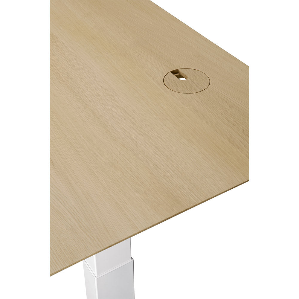 Bok Adjustable Desk Table Top - Oak, With Cable Management