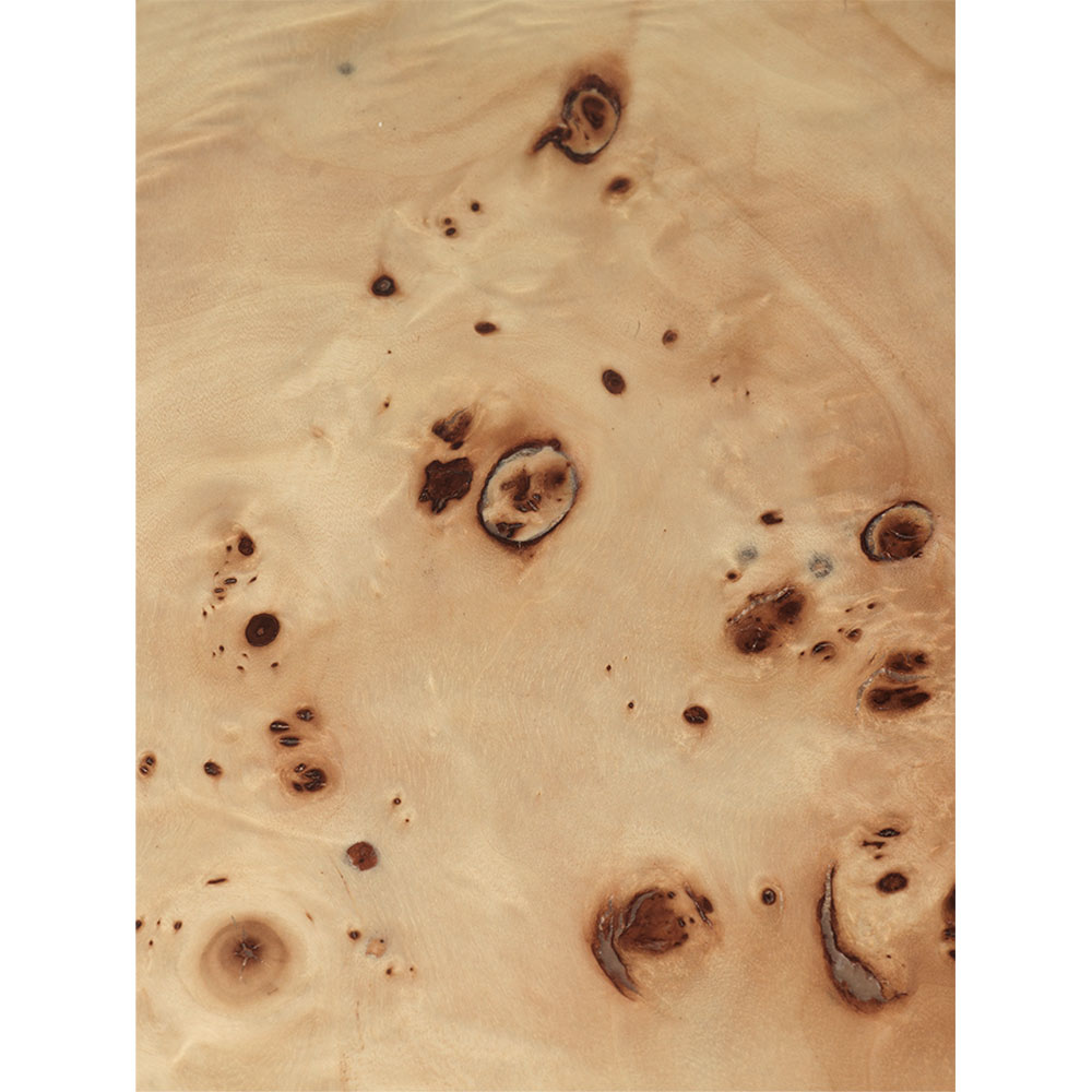 Burl Coffee Table