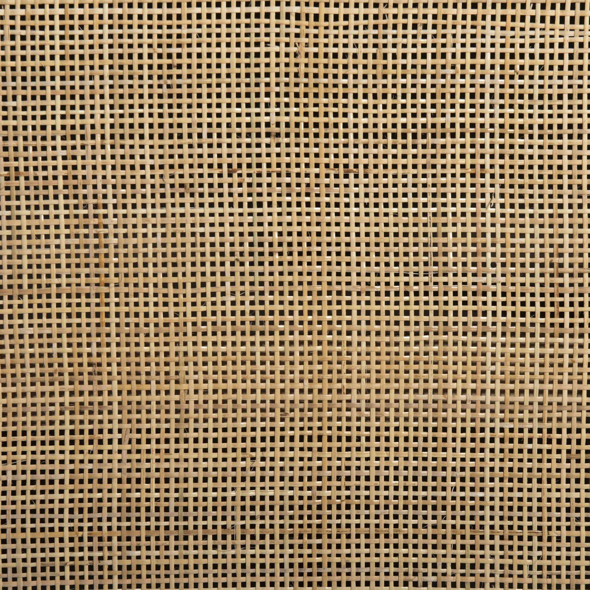 Caprice Wide Bookshelf - Natural Mango