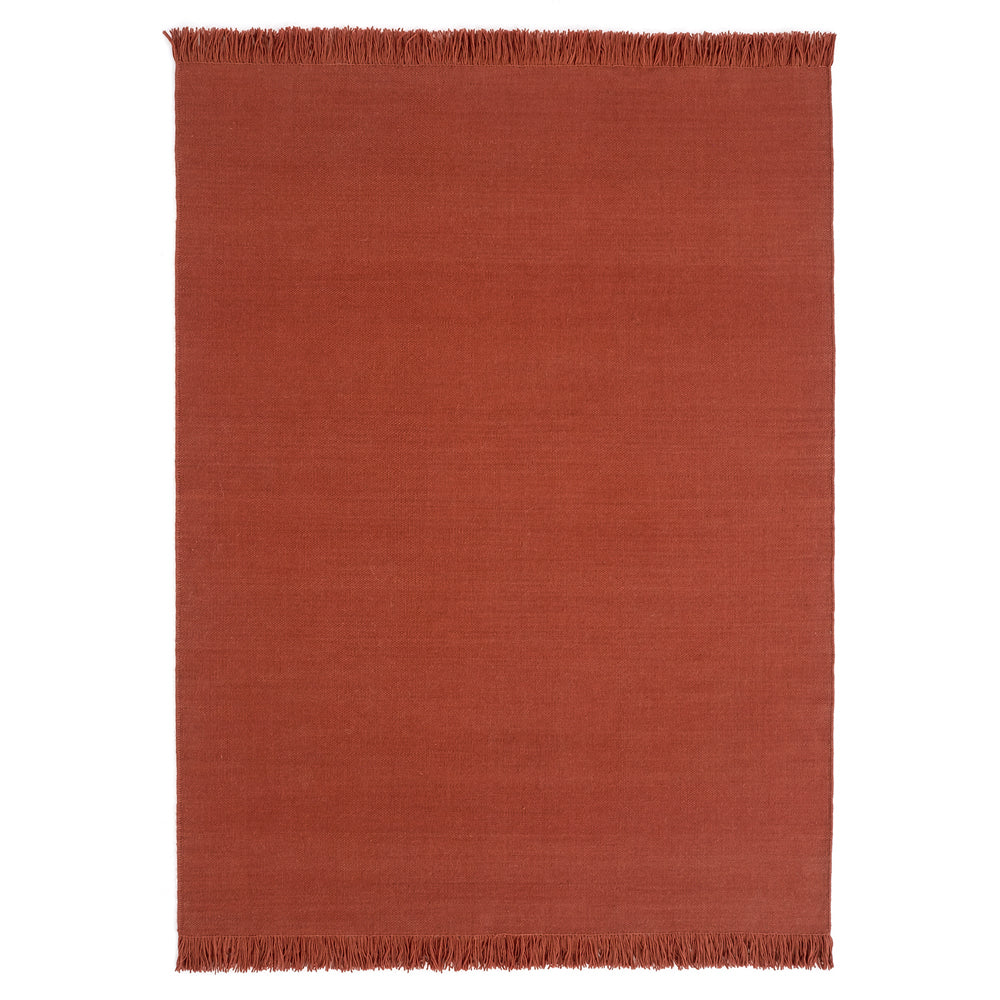 Color Rug - Saffron