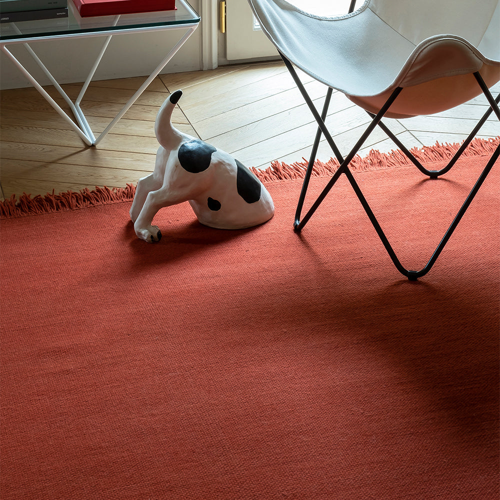 Color Rug - Saffron