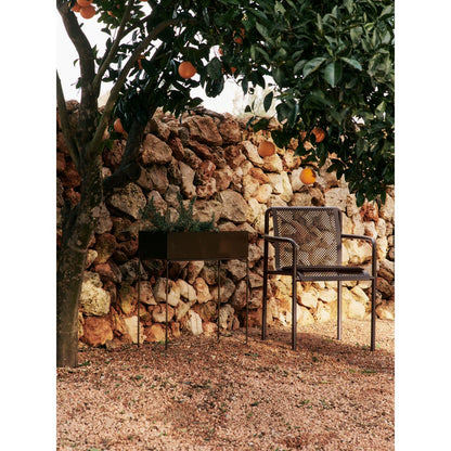 Dapple Chair With Arms - Dark Chocolate