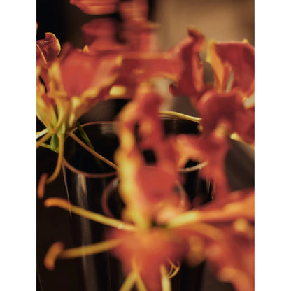 Eddy Wall Vase