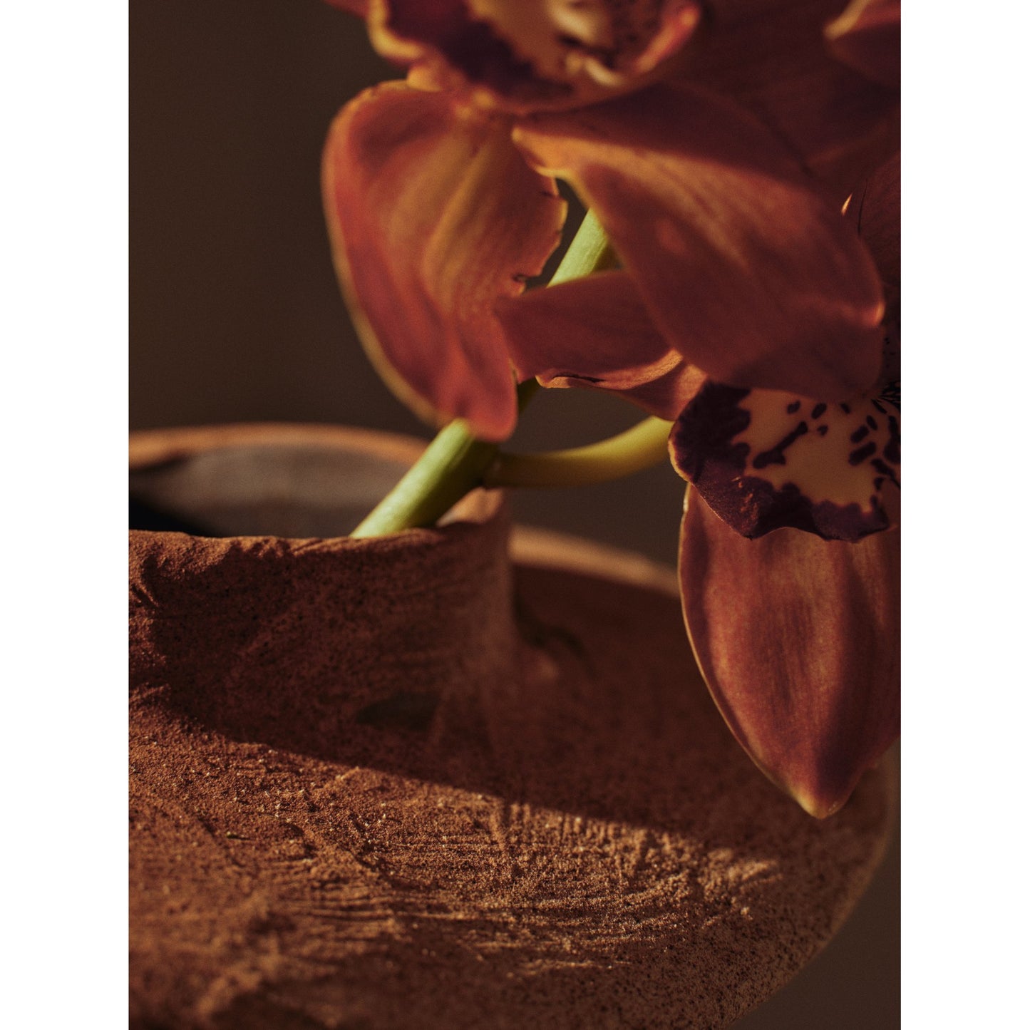 Evio Vase - Burnt Umber