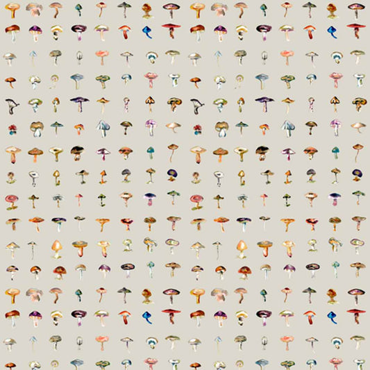 Forager II Wallpaper - Stone M