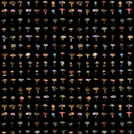 Forager Wallpaper - Black M