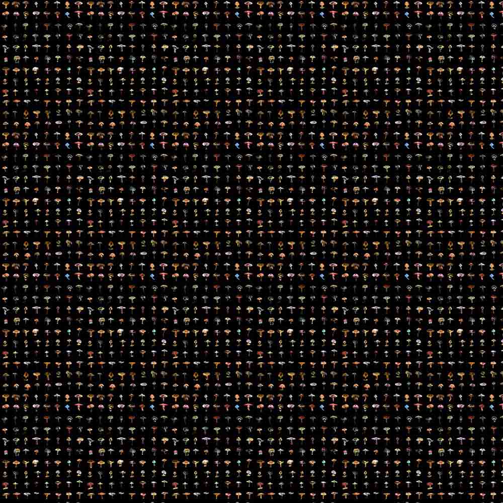 Forager Wallpaper - Black M