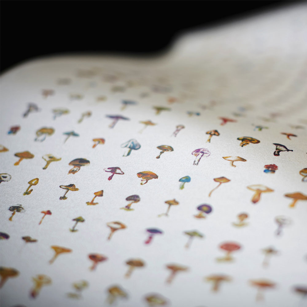 Forager Wallpaper - White S