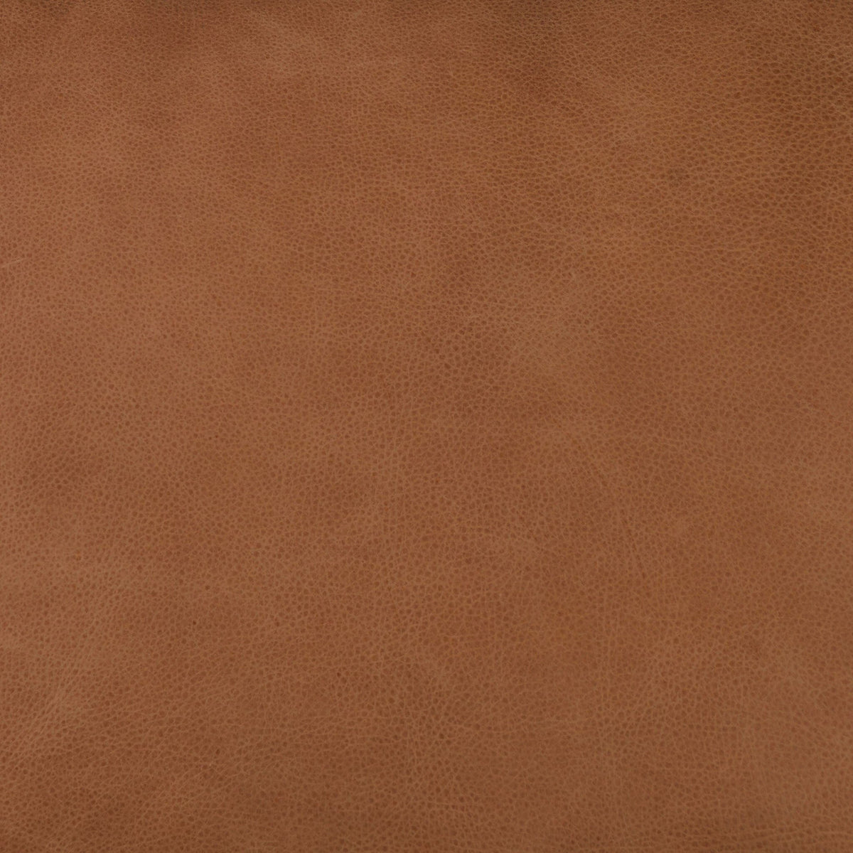 Kennedy Chair - Palermo Cognac