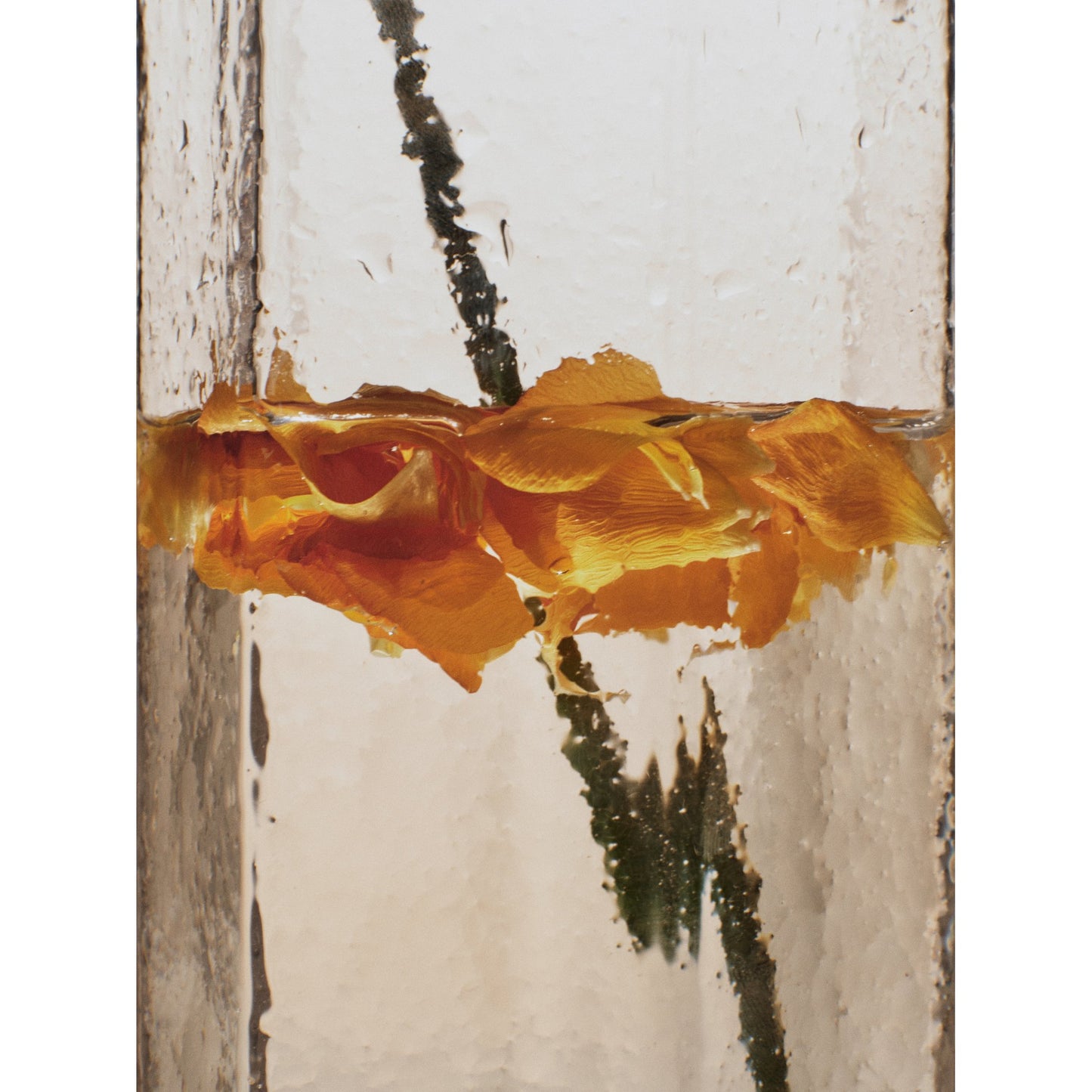 Kiru Tall Glasses - Set of 2