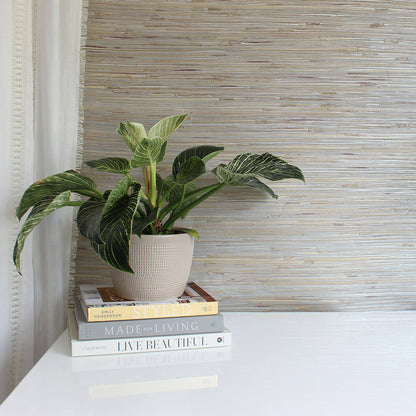 Loose Weave Boodle Grasscloth Wallpaper - Shades of Neutral Knotted on Silver