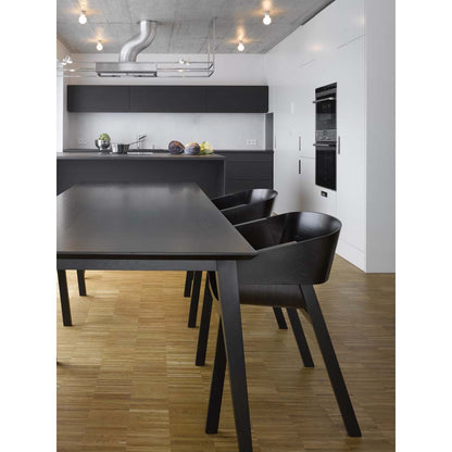 Merano Arm Chair - American Walnut