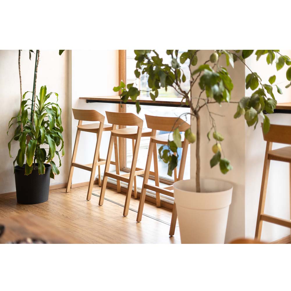 Merano Barstool - American Walnut