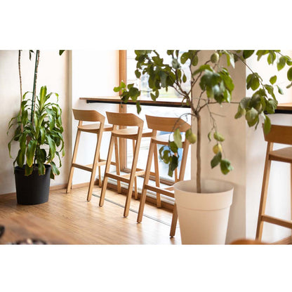 Merano Barstool - American Walnut