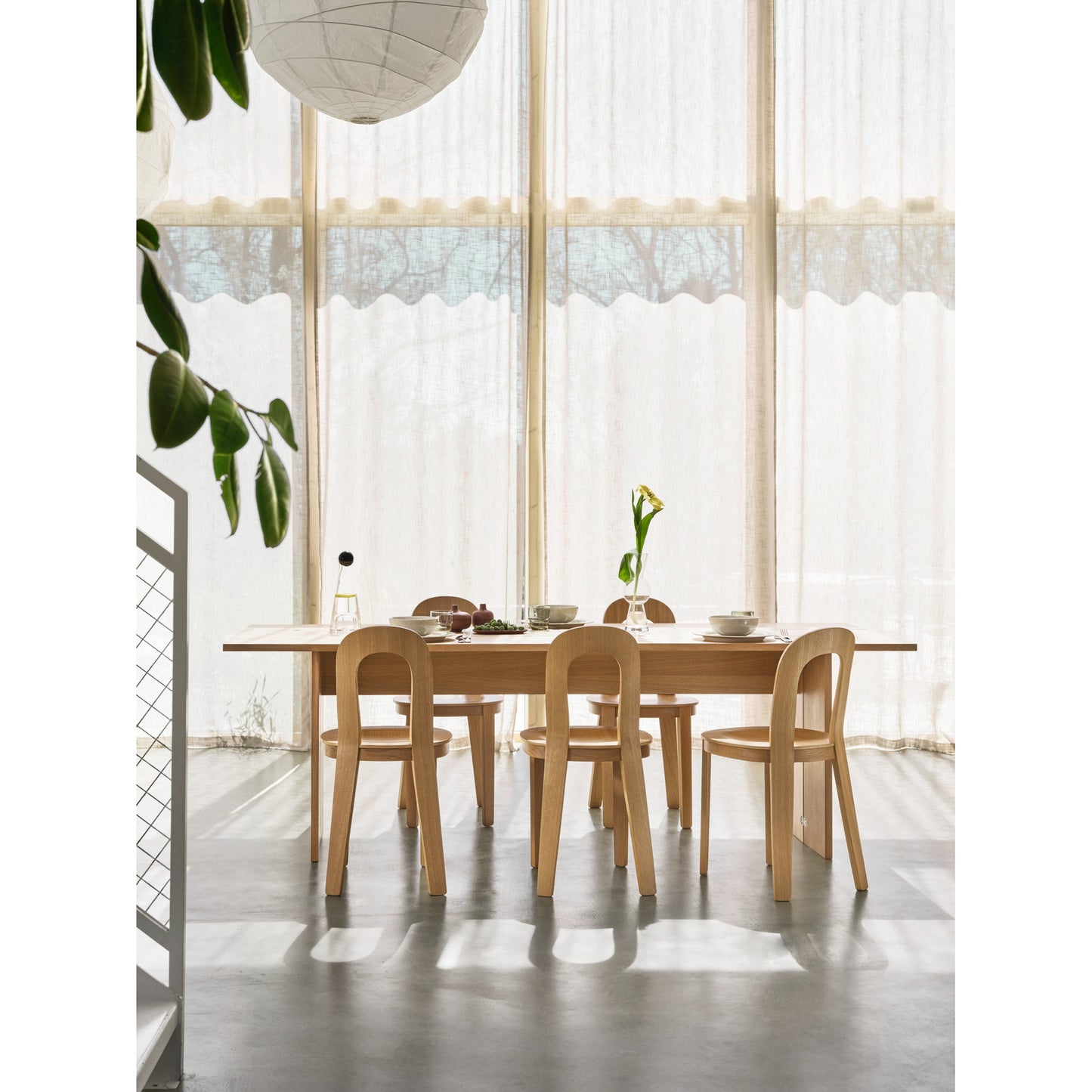 Olivia Chair, Set of 2 - Oak