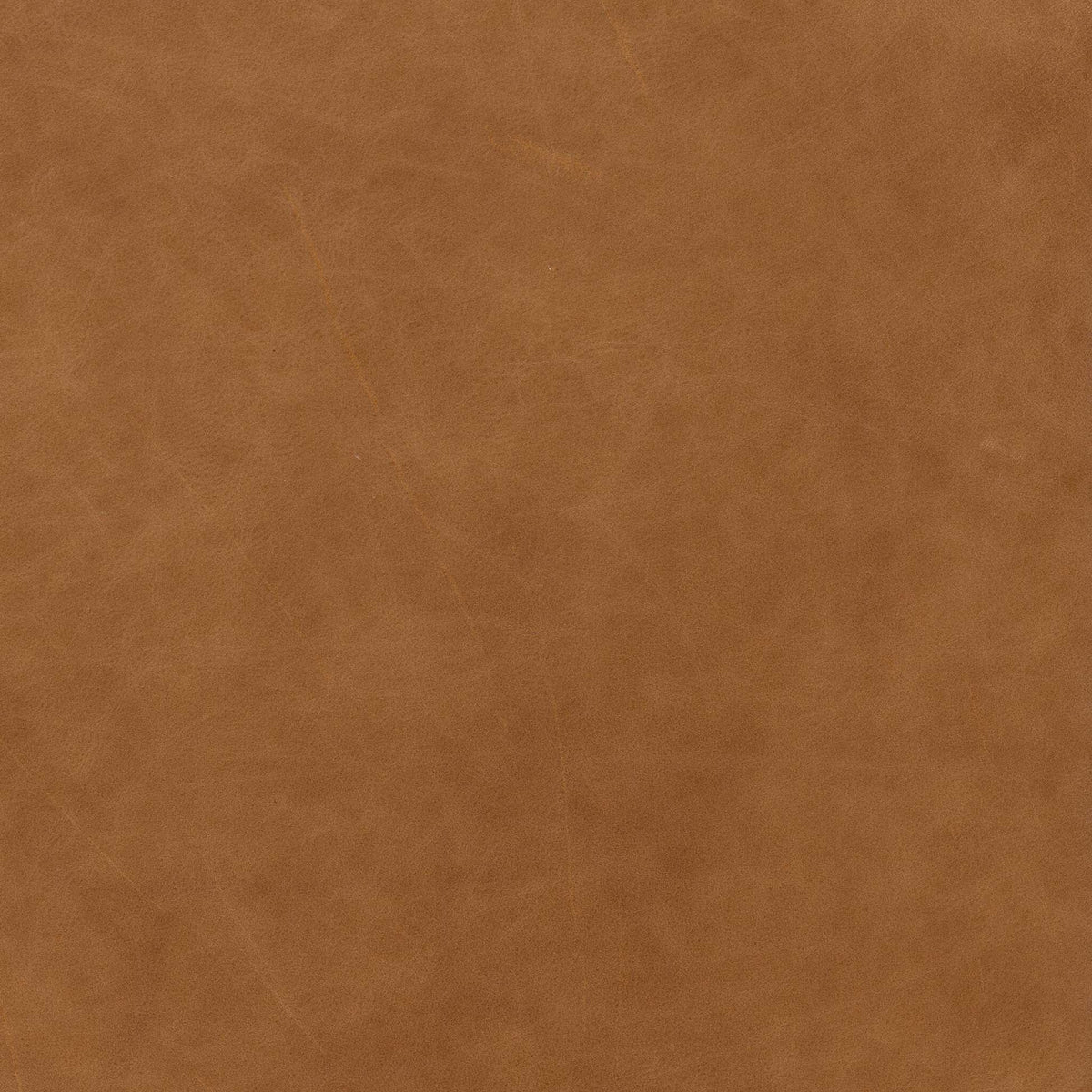 Olson Swivel Chair - Sonoma Butterscotch