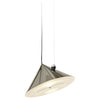 Kelp