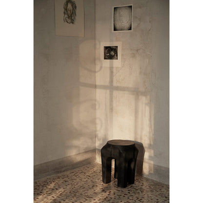 Root Stool