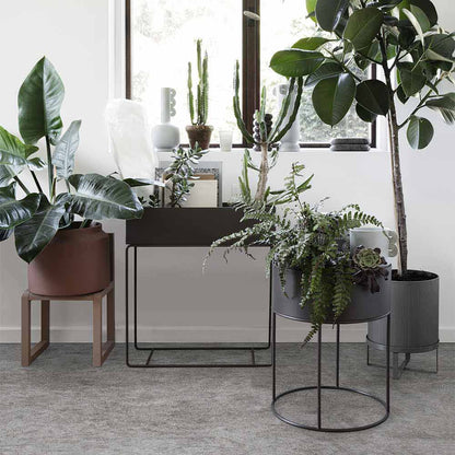 Round Plant Box - Cashmere