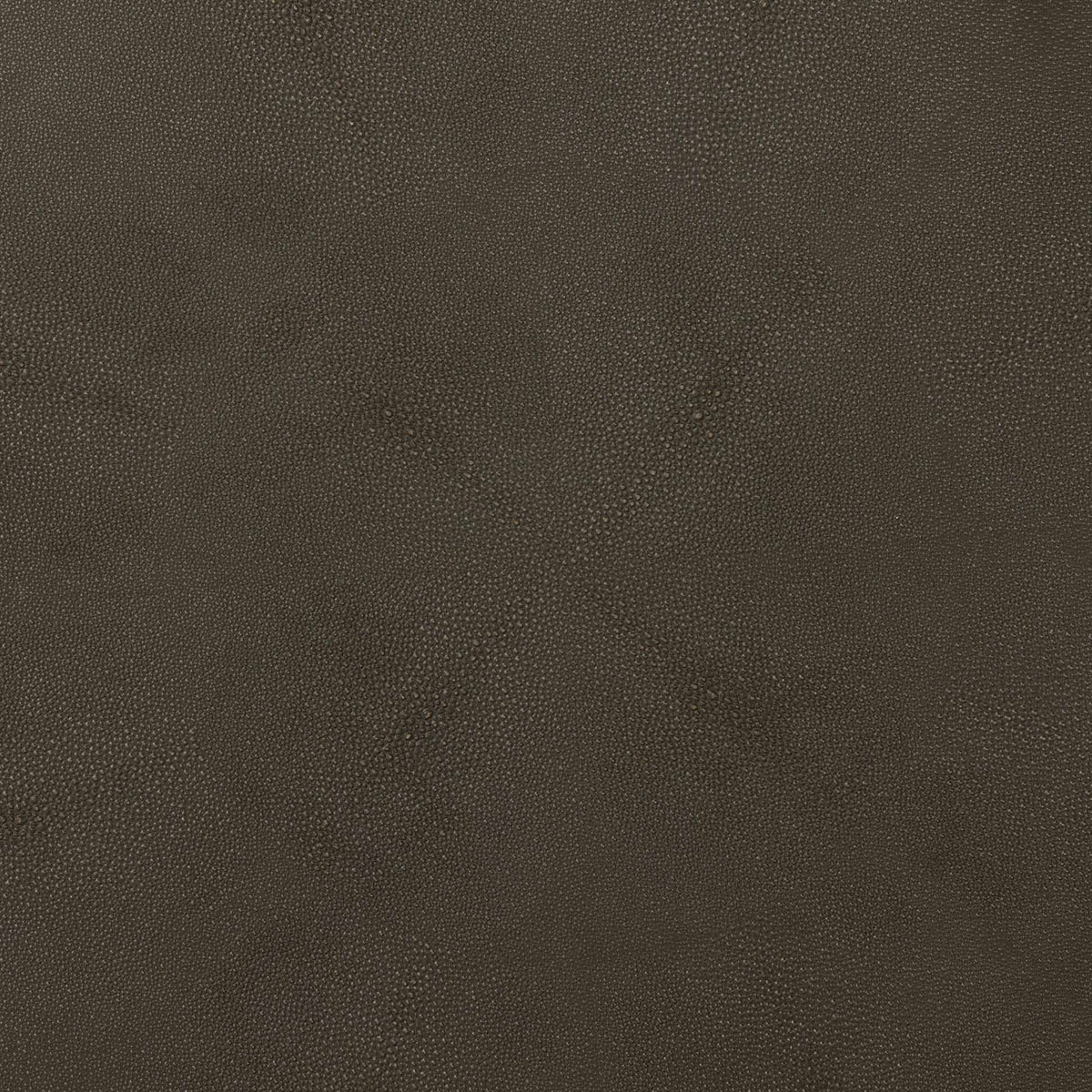 Shagreen Nesting Coffee Table - Gray Shagreen