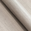 Taupe on Metallic Silver